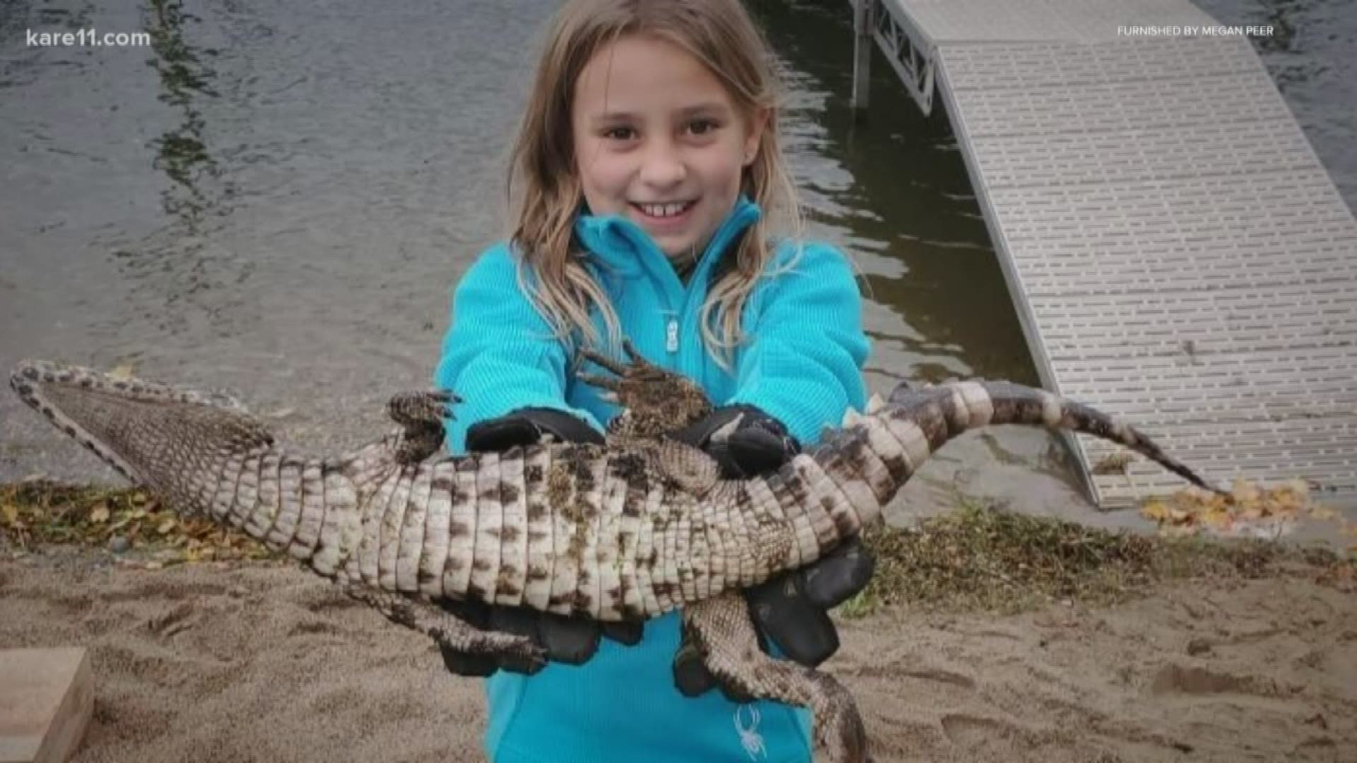 9-year-old Quinlynn Lehrmann spotted the 27-inch gator earlier this month.