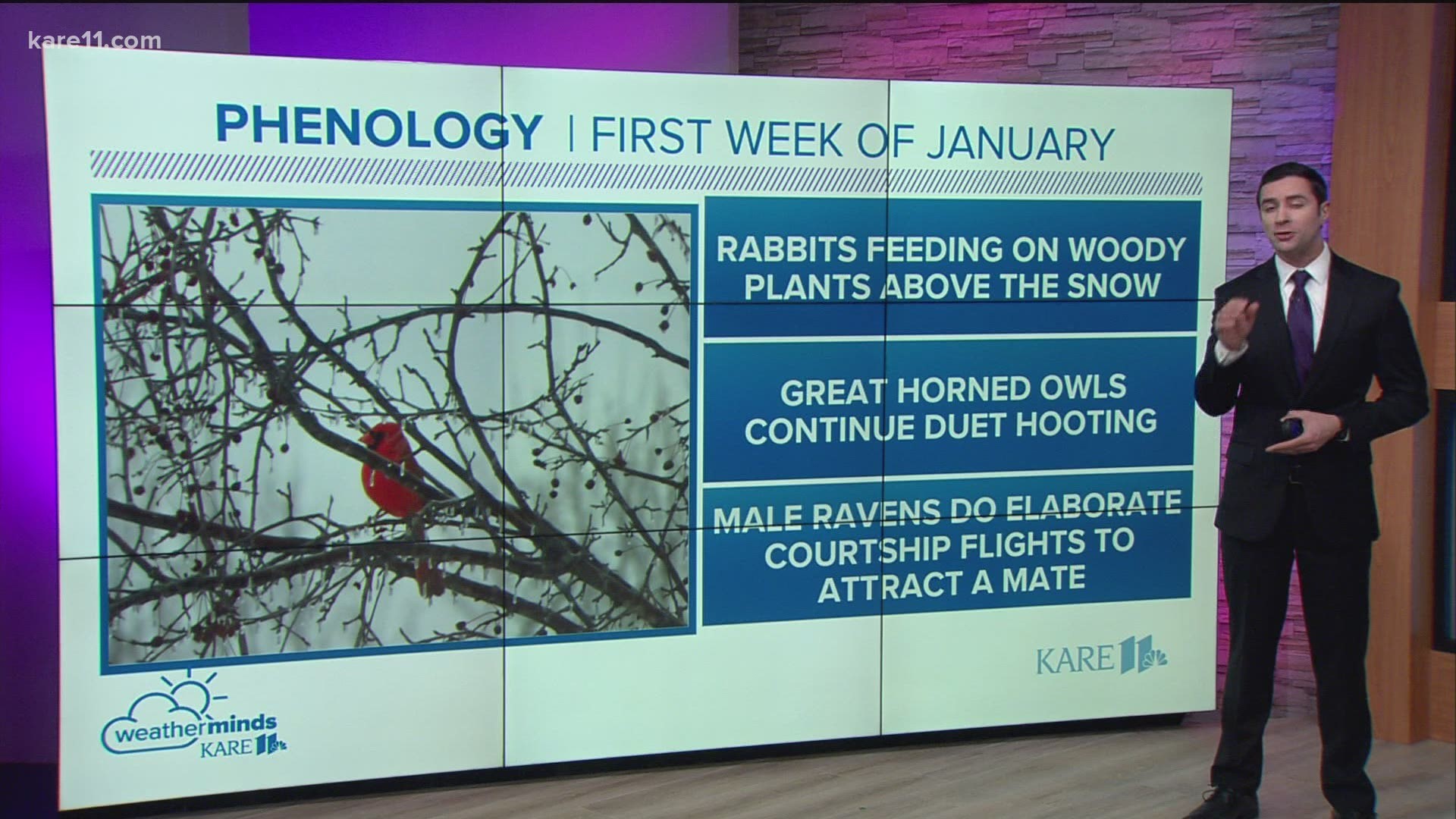 A look at what some of the wildlife around the region are doing in this first week of January.
