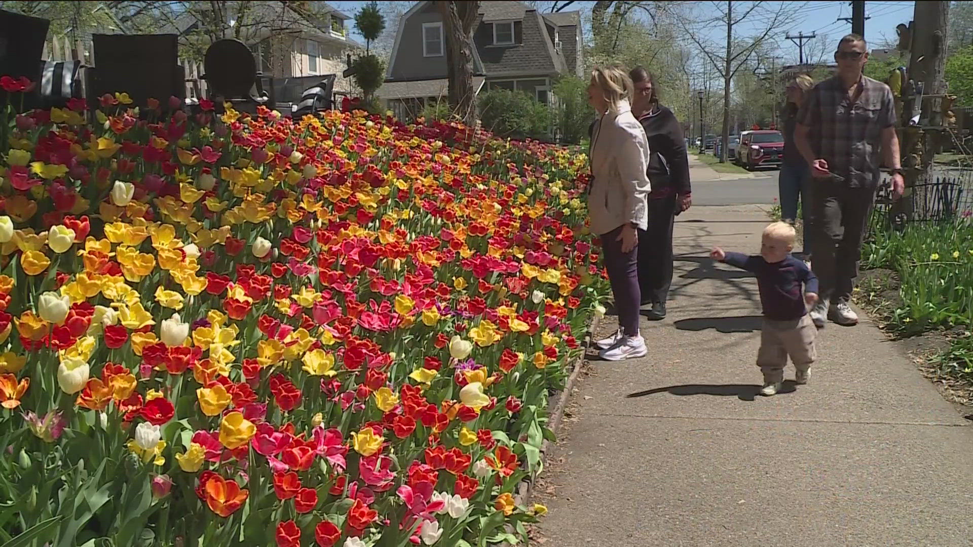 Remembering Lisa Stortz: Owner of Minneapolis' famous 'Tulip House