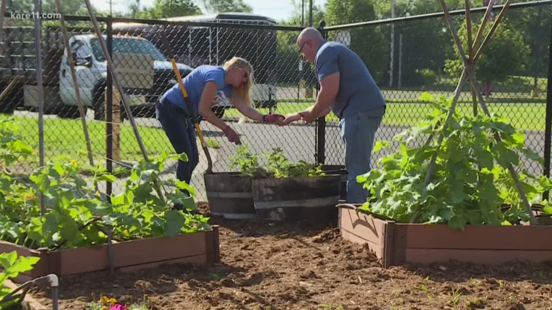 We visit one of the 300 Giving Garden's that the Cargill employees manage for local food shelves.