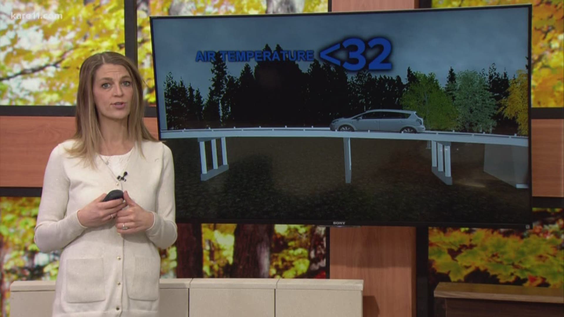 With the first snow and ice of the season building up on MN roads, KARE 11 meteorologist Laura Betker explains why bridge decks and overpasses get so doggone icy.