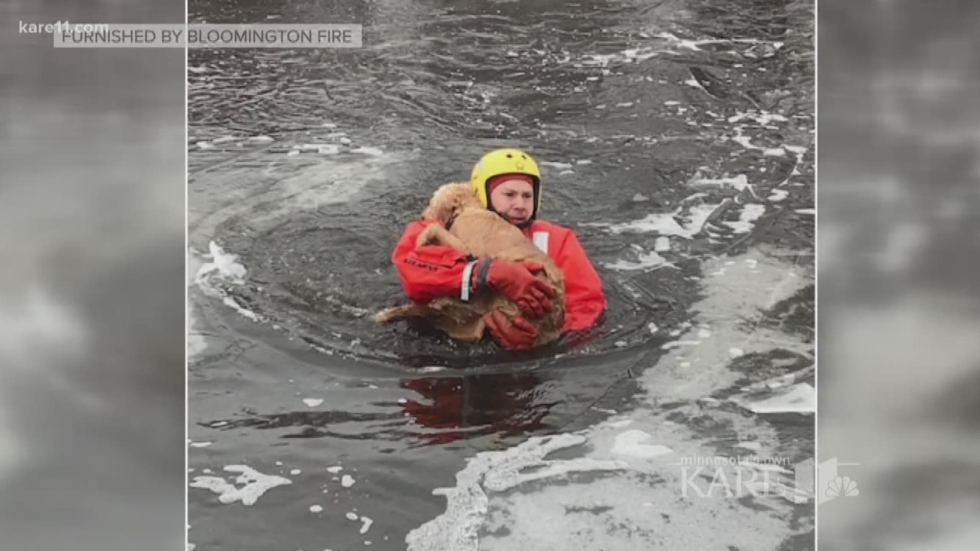 Firefighters rescue dog from icy pond