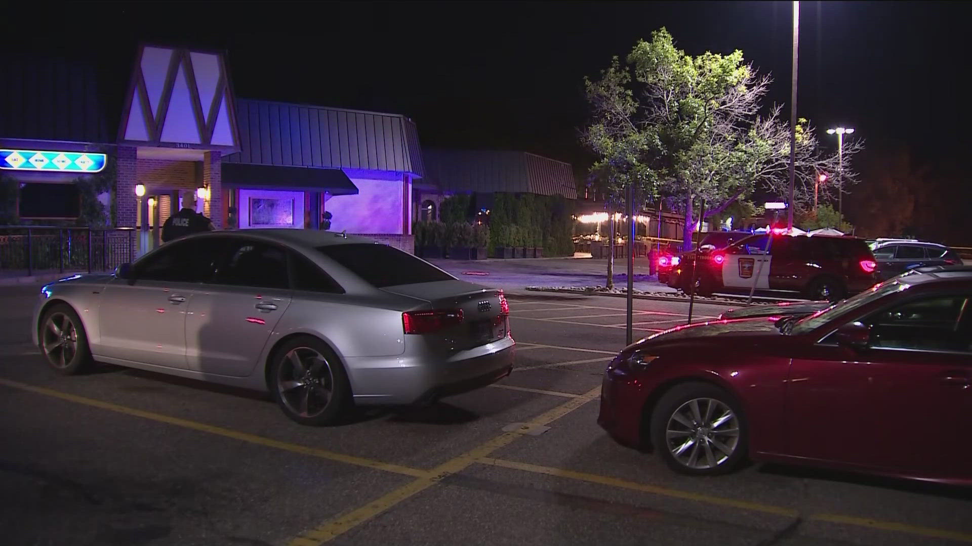 The driver of the vehicle has been arrested for criminal vehicular homicide, according to officials.
