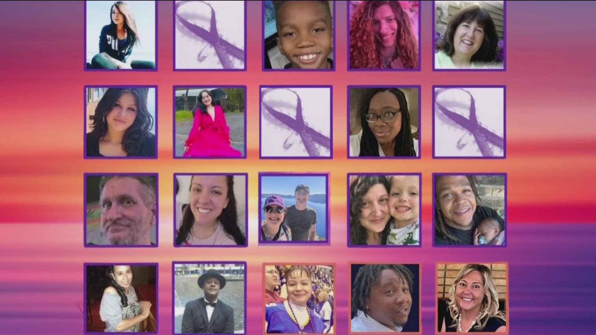 The report includes 24 known victims of intimate partner and domestic violence-related homicide and three suspicious deaths.