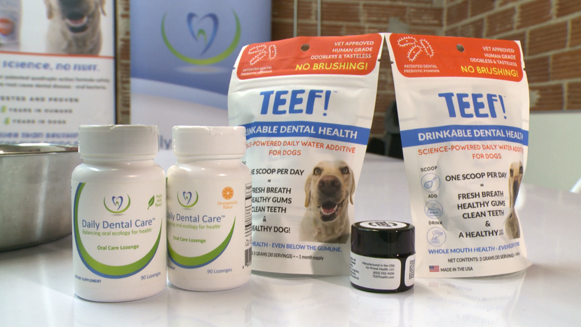 dog dental care products