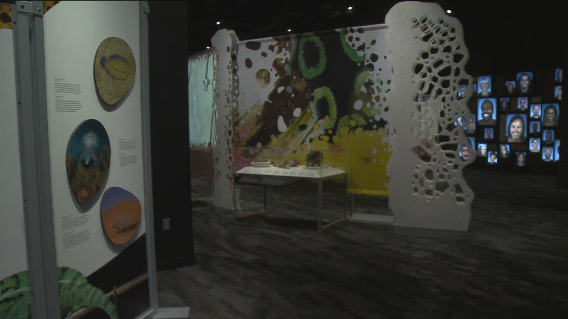 A new exhibit debuting at the Science Museum of Minnesota is quite literally getting underneath the skin. 