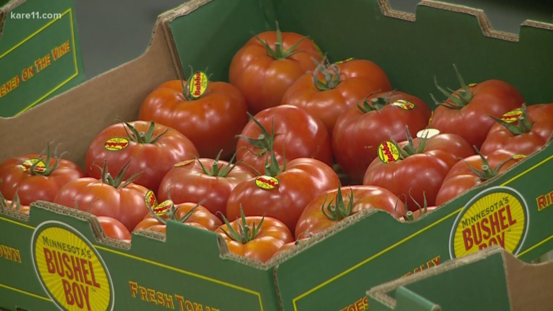 Owatonna-based Bushel Boy is donating 450 pounds of Minnesota tomatoes to Second Harvest Heartland. The gift was inspired by Twin Cities Chef Mike DeCamp, who created a special dish during the month of June featuring Bushel Boy tomatoes. For every dish sold last month Bushel Boy pledged to donate.
