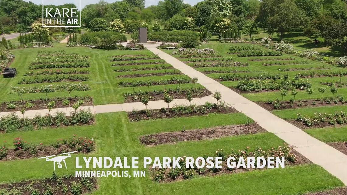 are dogs allowed in lyndale park rose garden