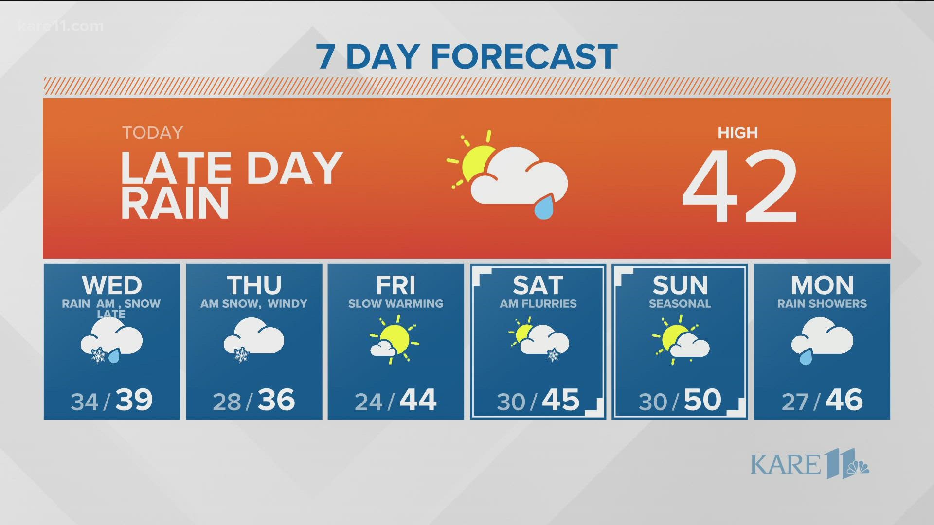 Baby zebra born at Como Zoo