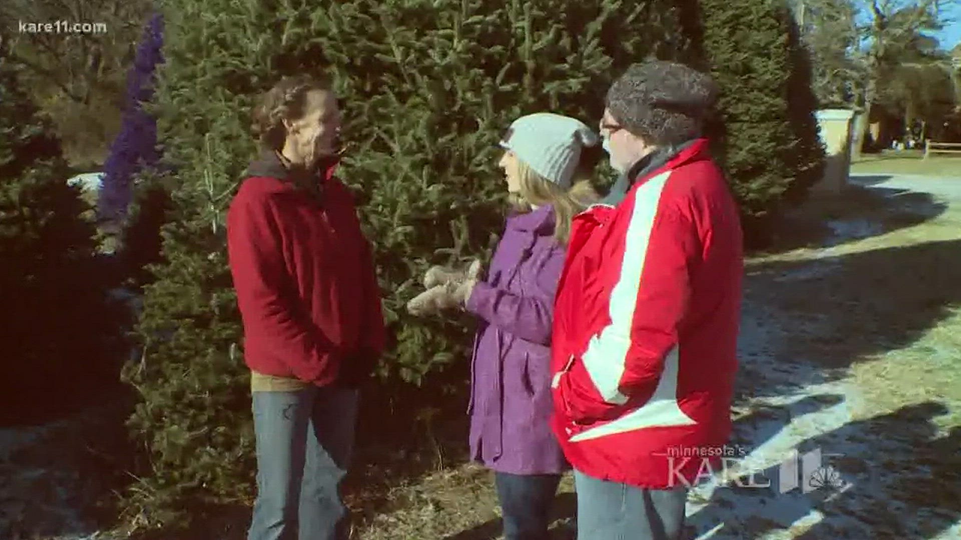 Grow with KARE: Christmas tree and spruce top supply is low
