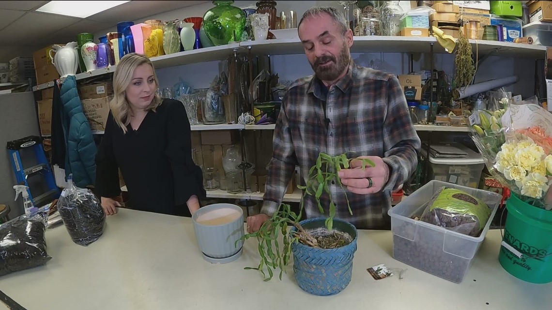 Grow with KARE Top ten annuals