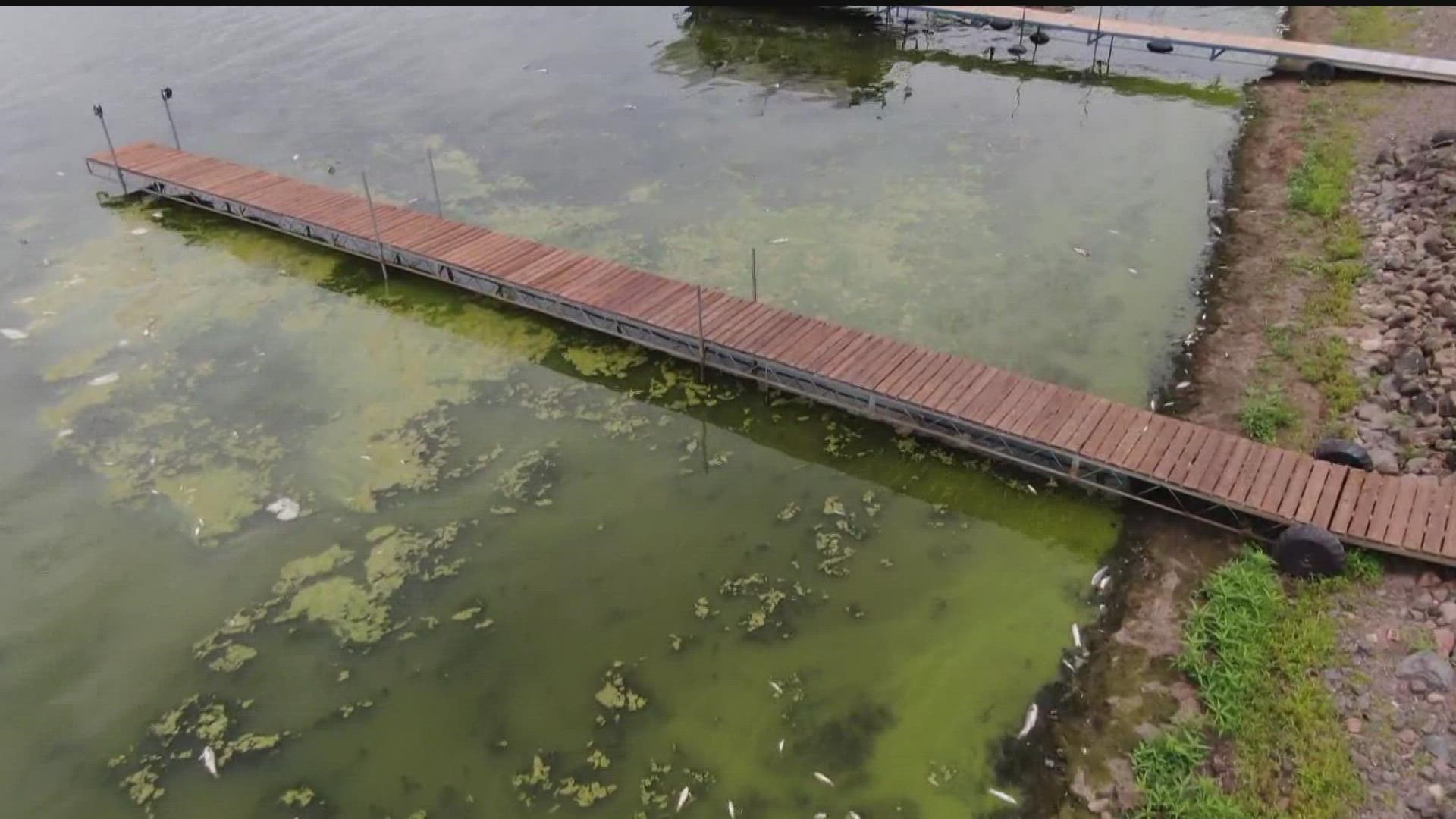 Both the DNR and lake health advocates say the jet stream can dredge up the lake sediment and cause bigger issues.