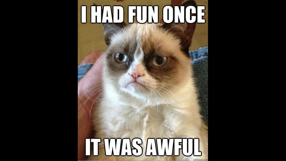 grumpy cat meme i had fun once