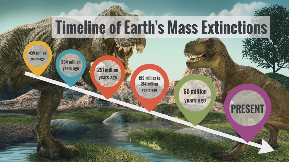 Explore More With Sven Timeline Of Mass Extinctions Kare11 Com   613591640 1140x641 