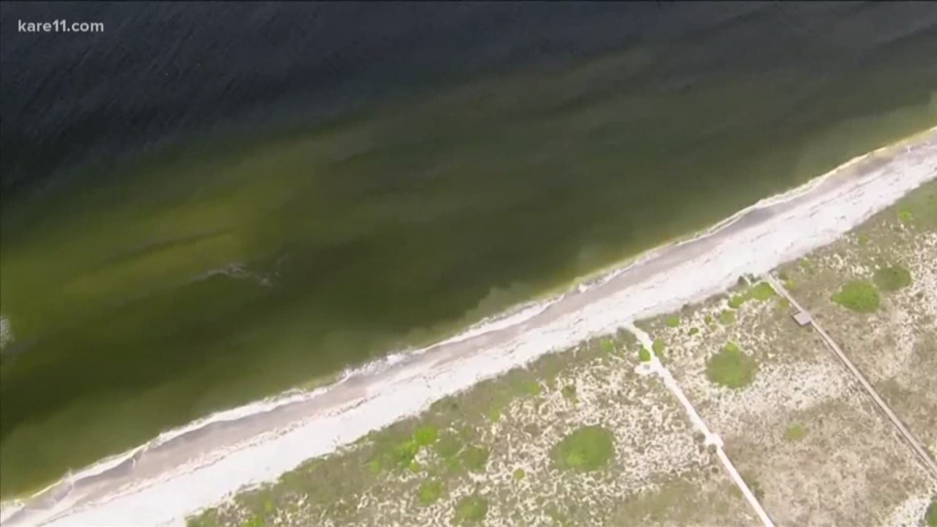 toxic red tide florida toxic red tide florida