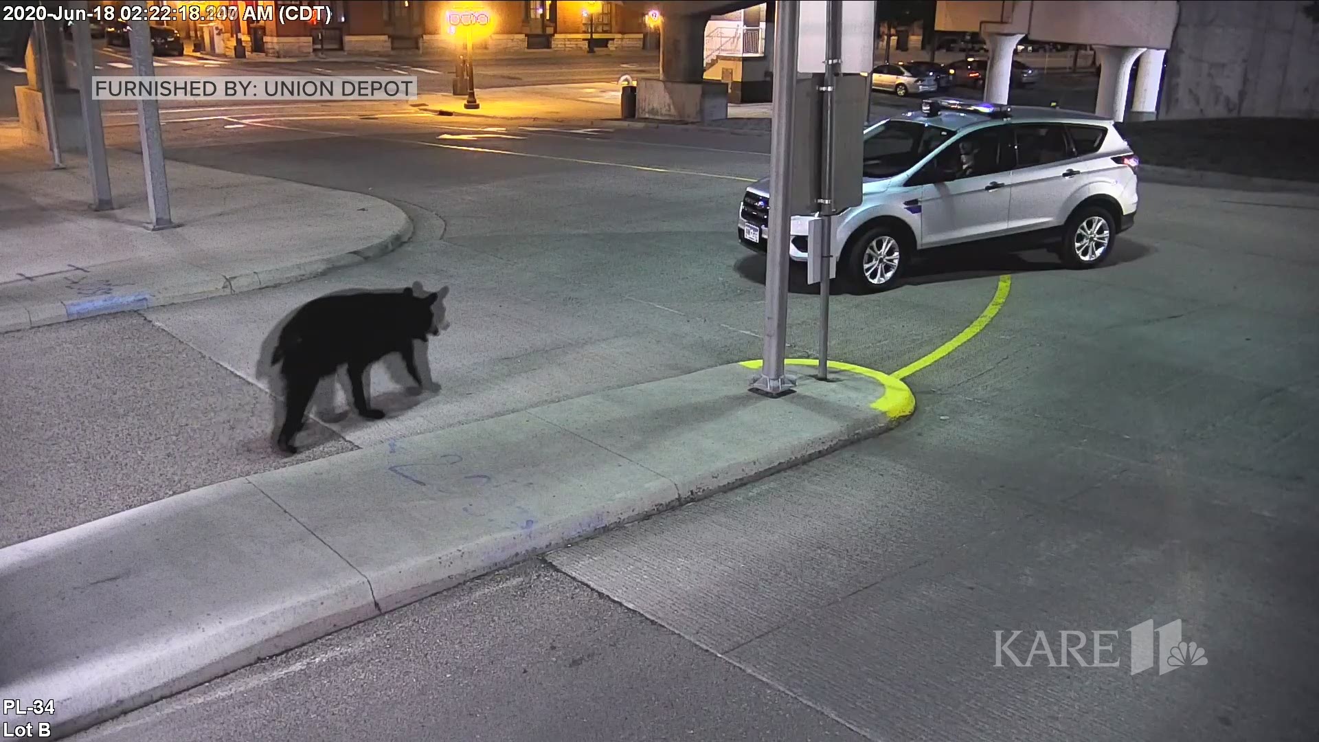 Security cameras captured footage of a bear wandering a parking lot outside St. Paul's Union Depot early in the morning on Thursday, June 18, 2020.