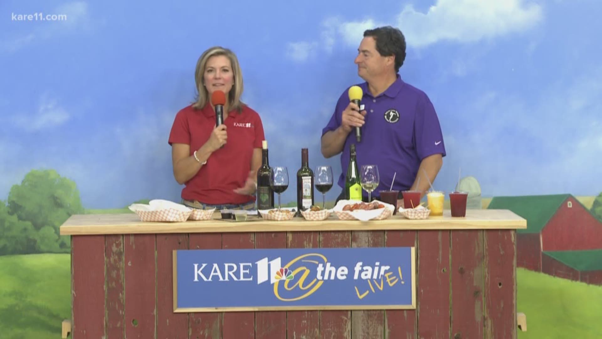 It's wine time! Steve Zeller from Parley Lakes Winery in Waconia joins KARE 11 News at 4 to talk about Minnesota Wine Country at the fair.