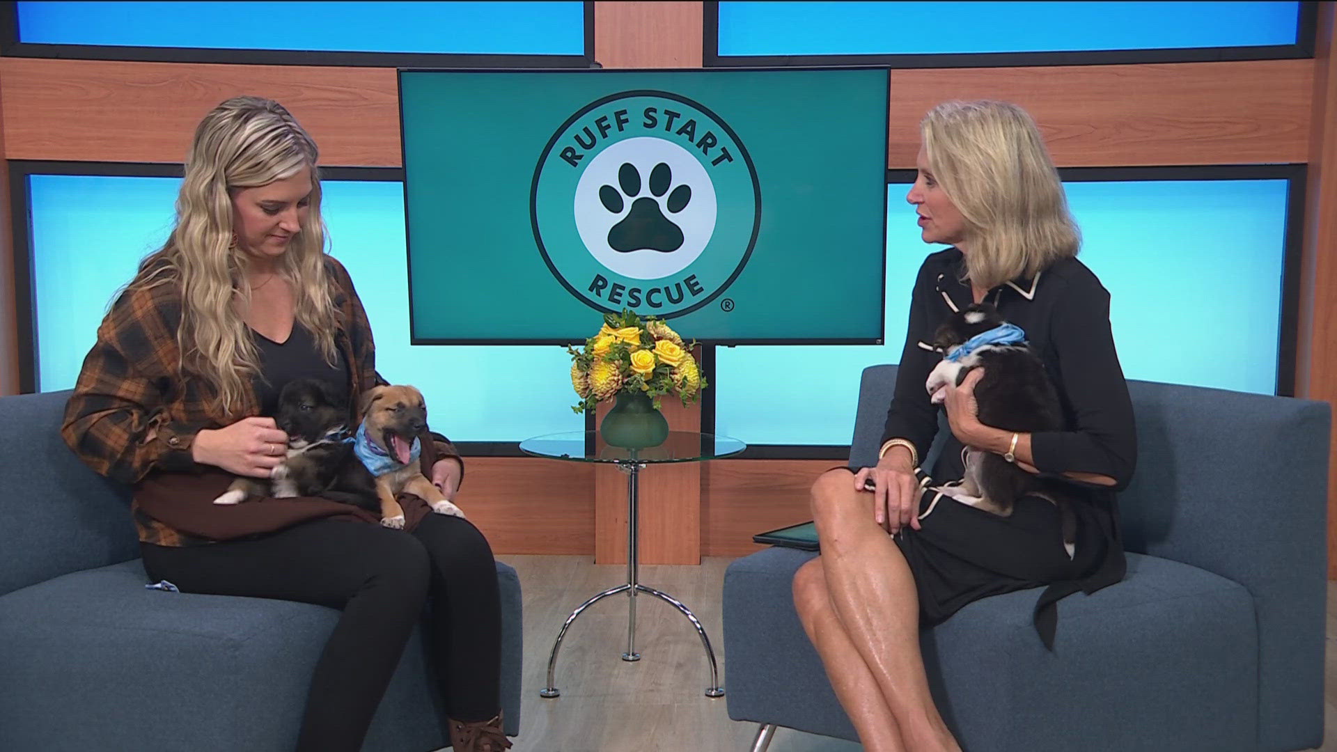 Ruff Start Rescue visited KARE 11 Saturday to discuss growing demand on organizations like theirs, and how people who love animals can help.