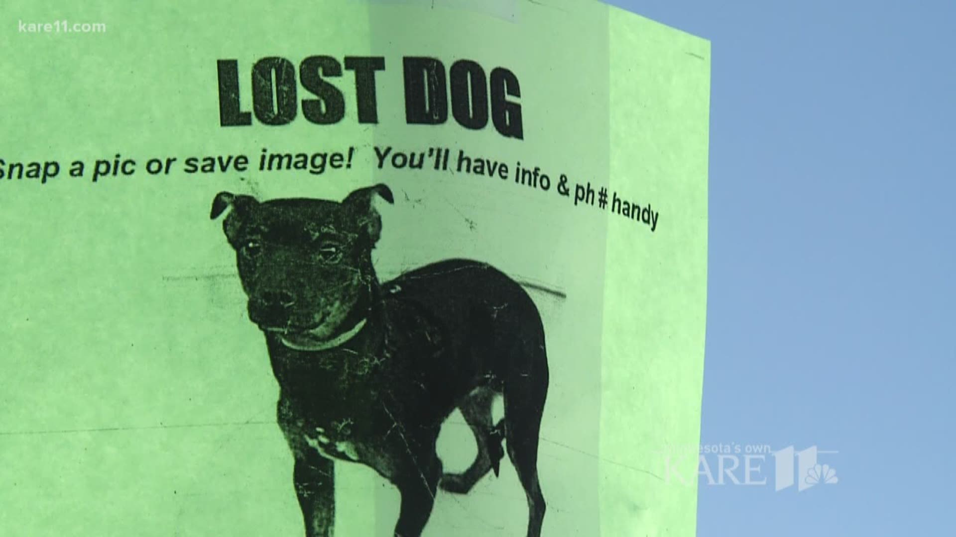 Nowadays there are literally hundreds of apps, services, websites, products and companies that will gladly take your money to help you find a missing pet. But do you really have to pay? https://kare11.tv/2HOQuhd