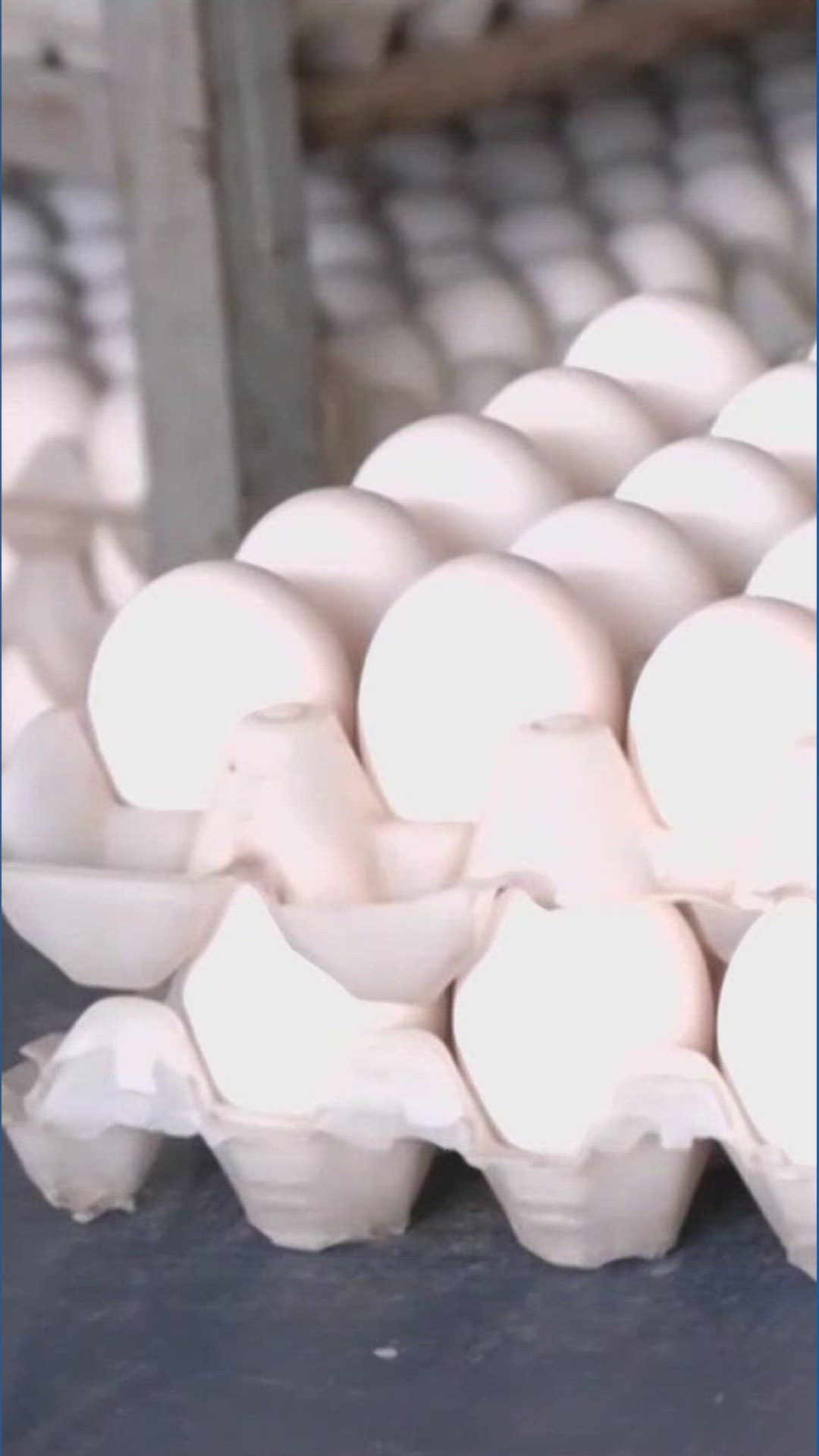 New law expands egg donations in Minnesota