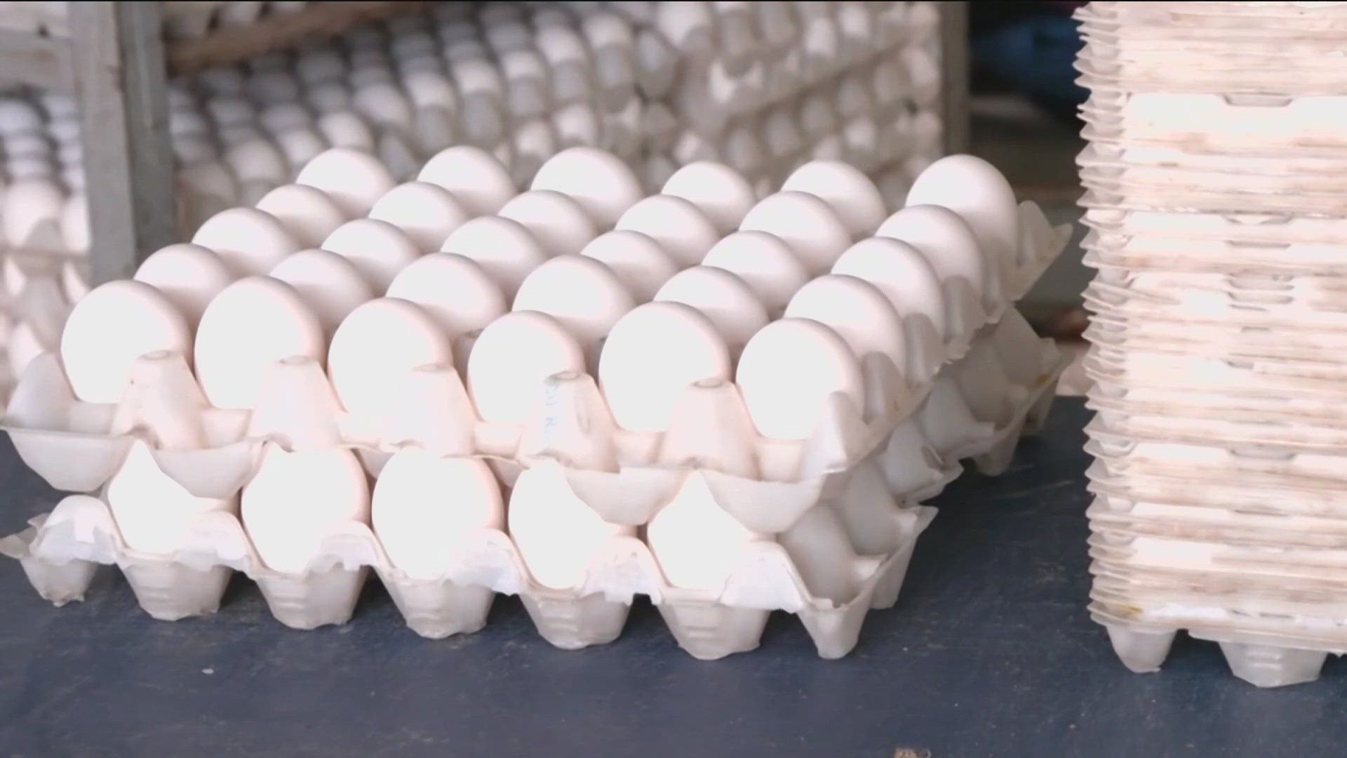 The wholesale price for large white eggs dropped 26 cents, but prices are still double at the grocery store.