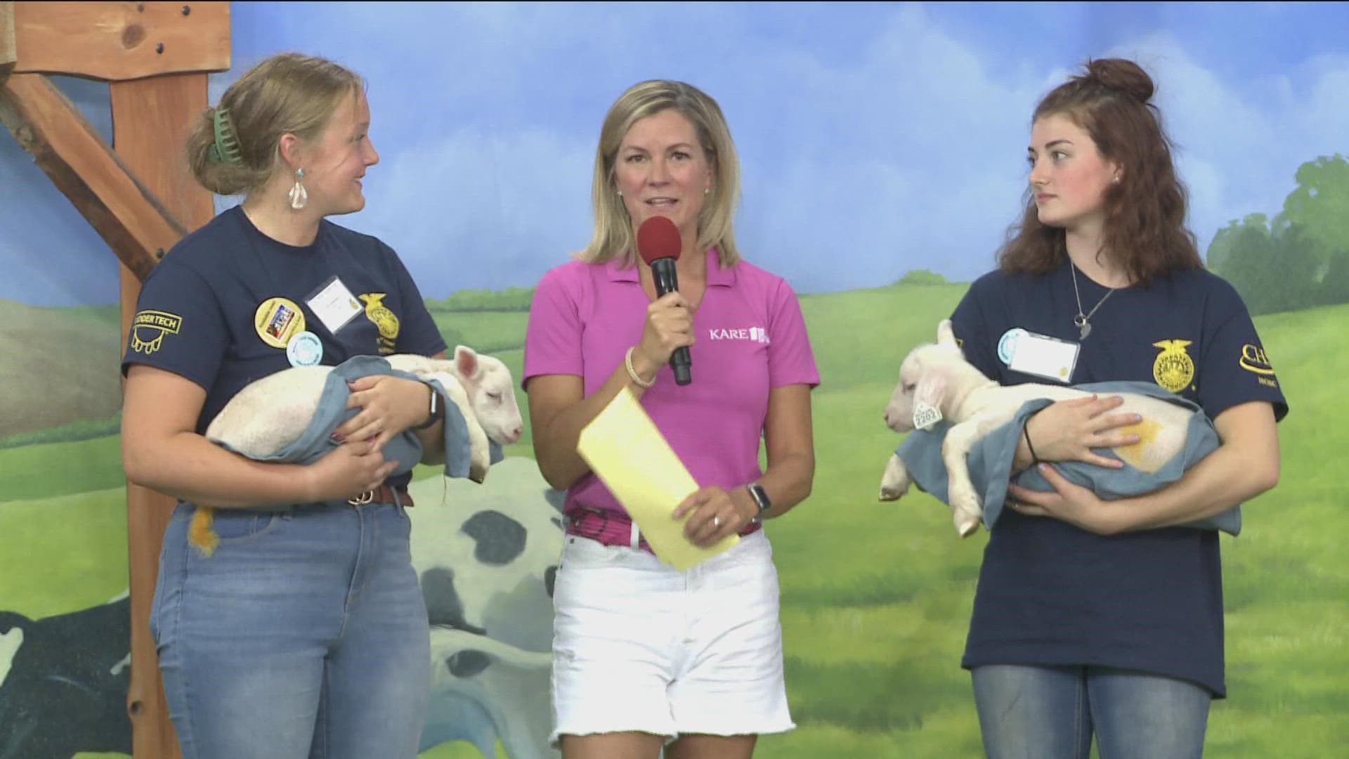 The agricultural education exhibit features many baby animals and is staffed by FFA volunteers.