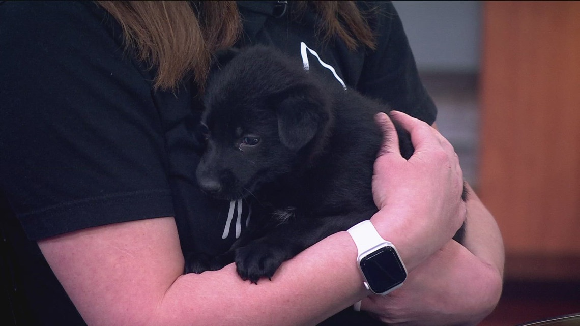 Animal Humane Society encourages pet adoptions
