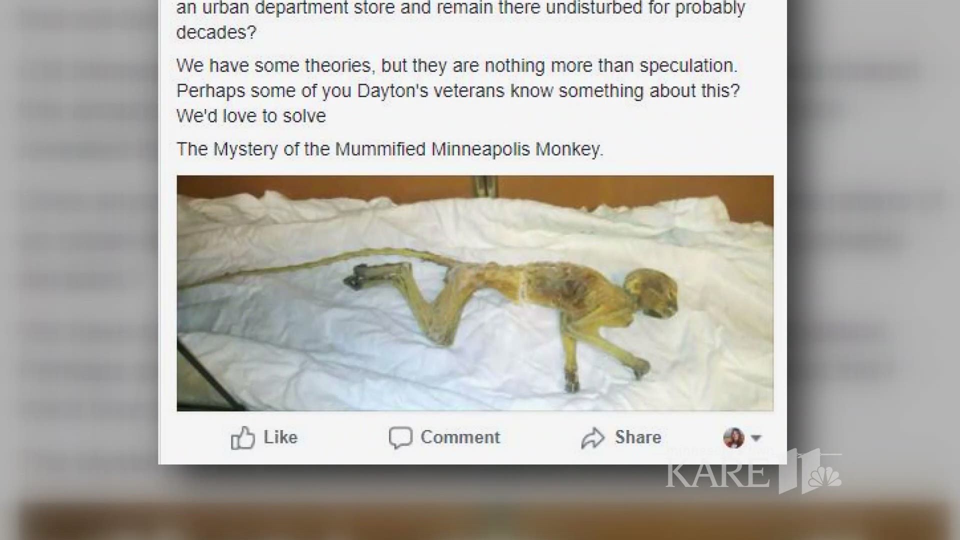 Workers renovating the old Dayton's department store in downtown Minneapolis have discovered a mystery: the mummified remains of a monkey. https://kare11.tv/2HibVae