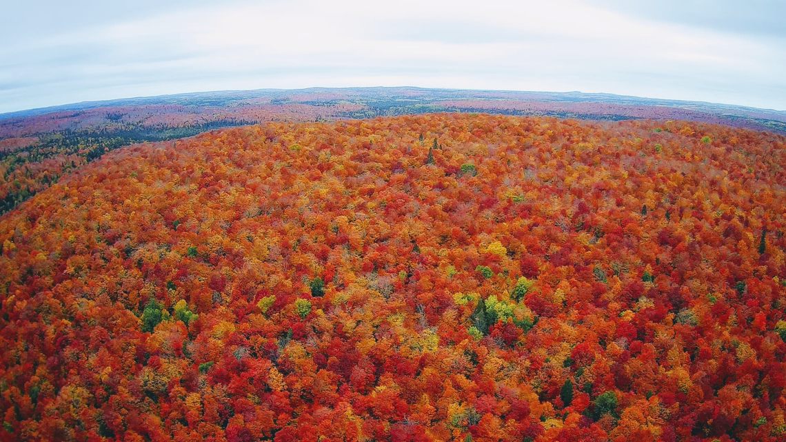 Your Photos Fall Colors In Minnesota 7346