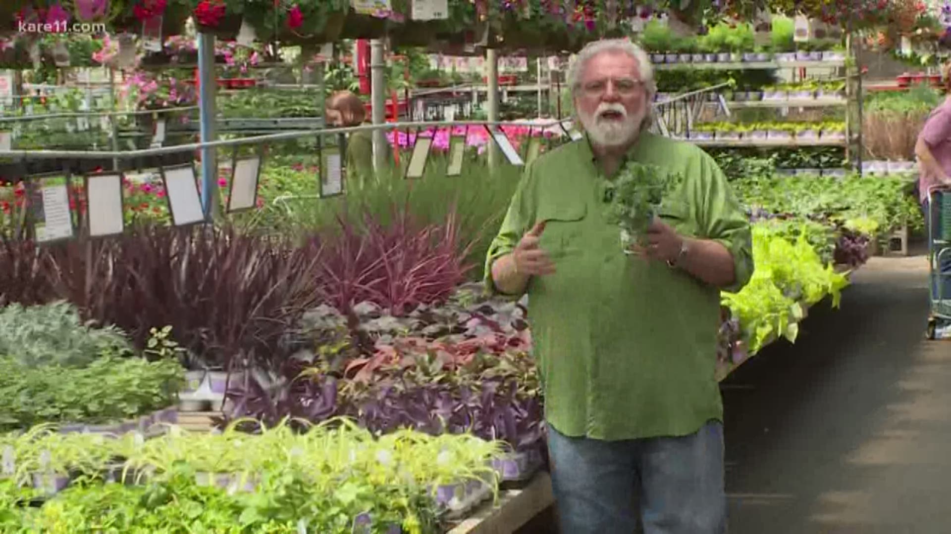 Grow with KARE: Try these plants this season!