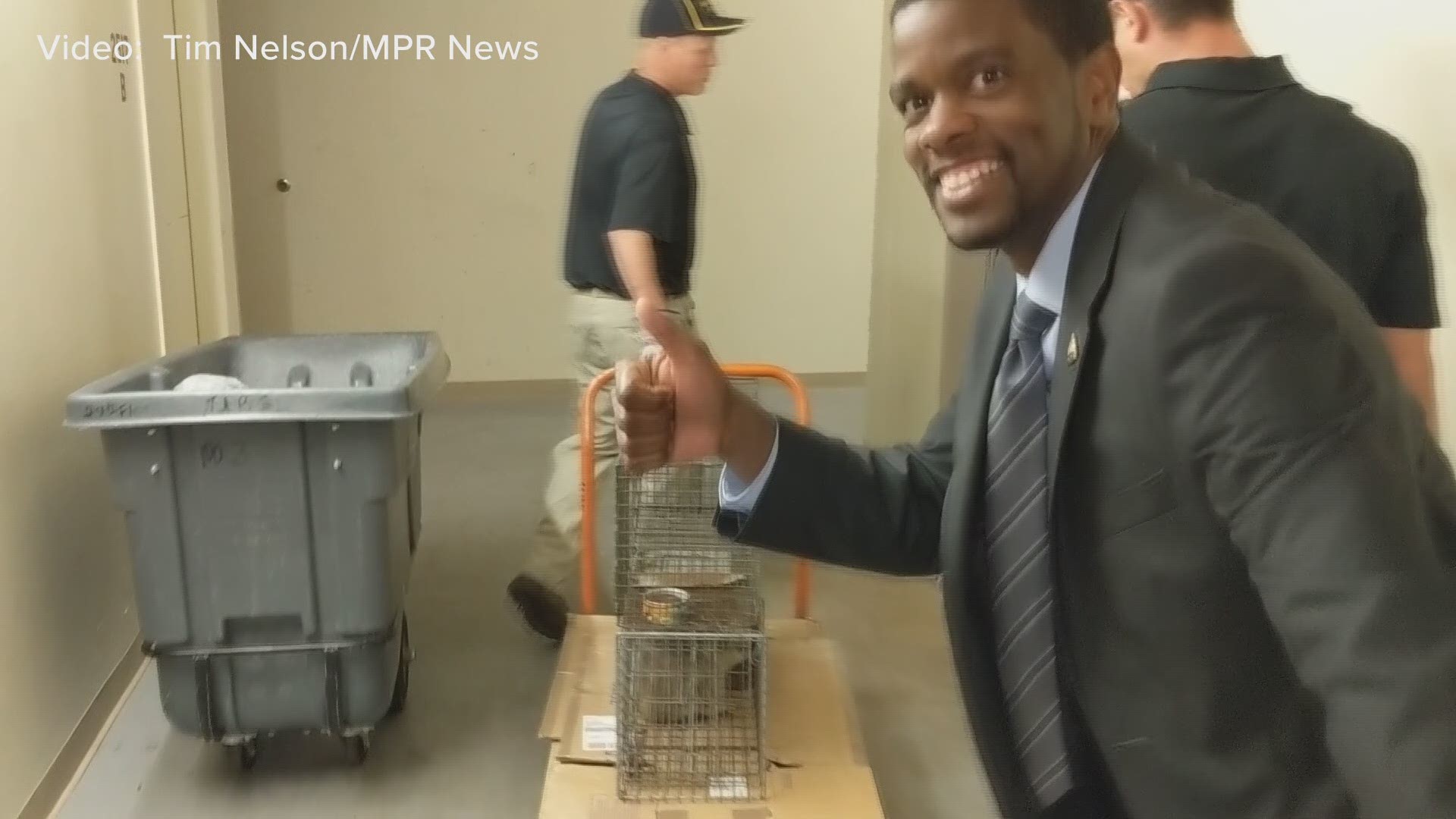 MPR News reporter Tim Nelson's video of raccoon being removed from UBS roof