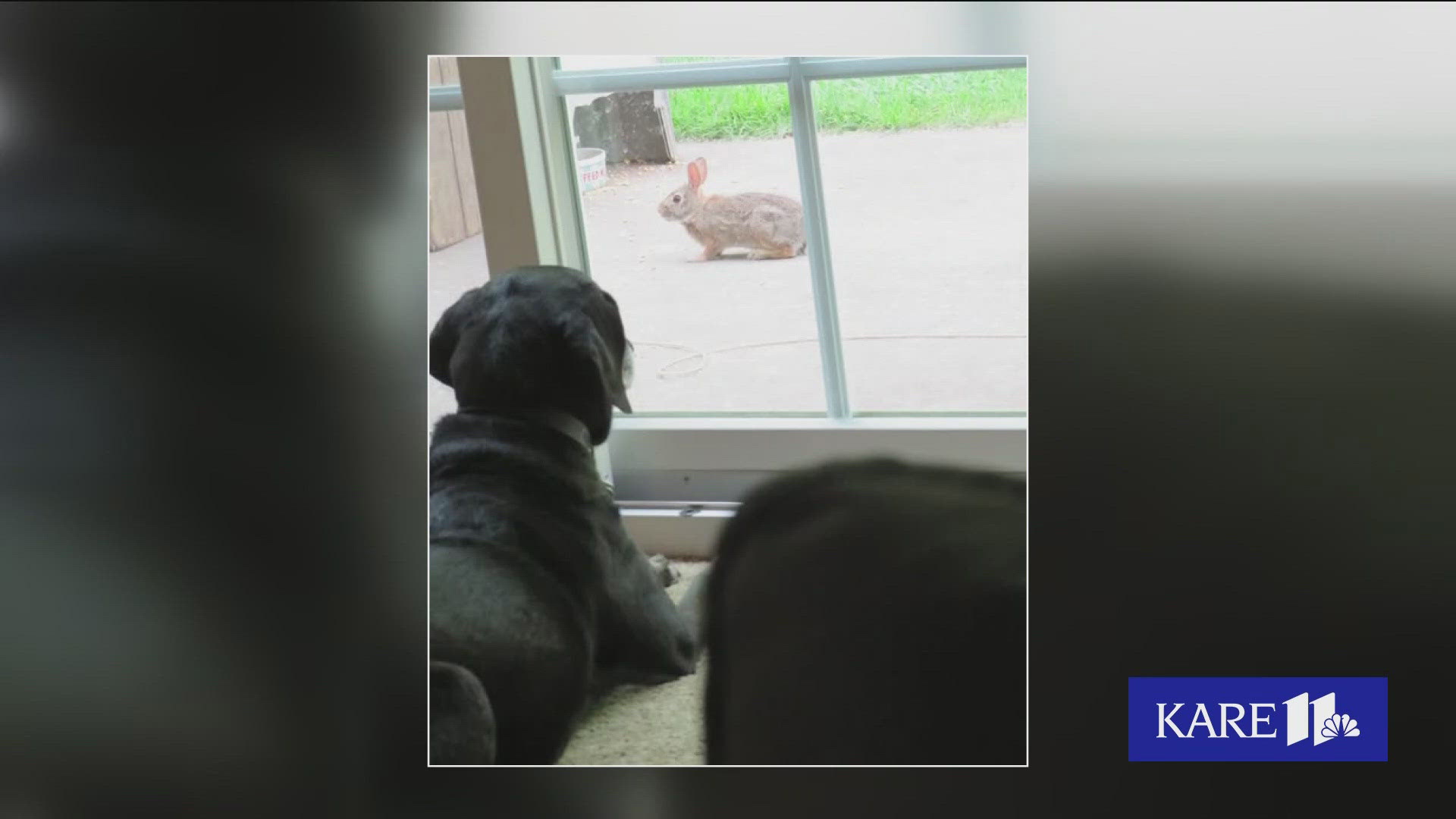 In Friday's YGN segment, viewers share photos and some nice stories! Submit your good news to us at yourgoodnews@kare11.com.