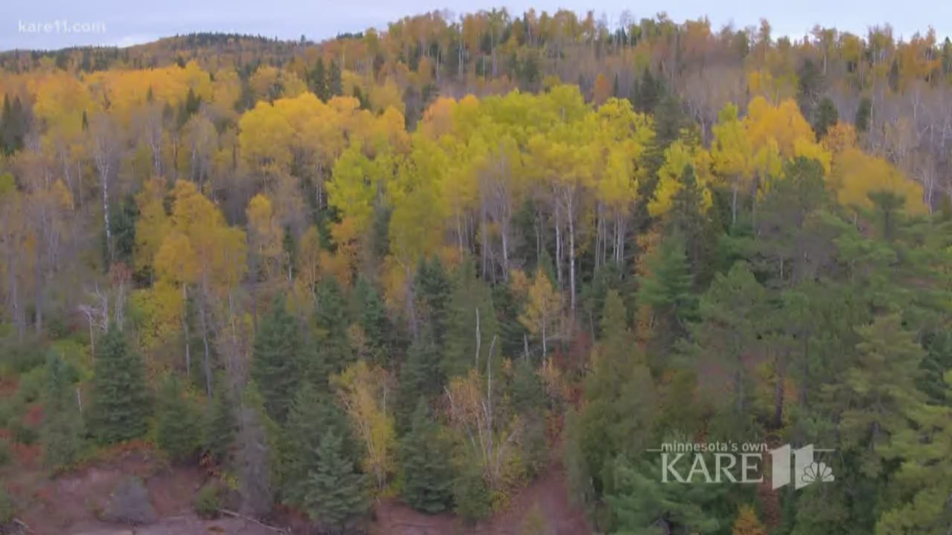 According to state park officials, some folks have been ruining the party by trying to get a peek from above, and the DNR would like them to stop. http://kare11.tv/2ywilgJ
