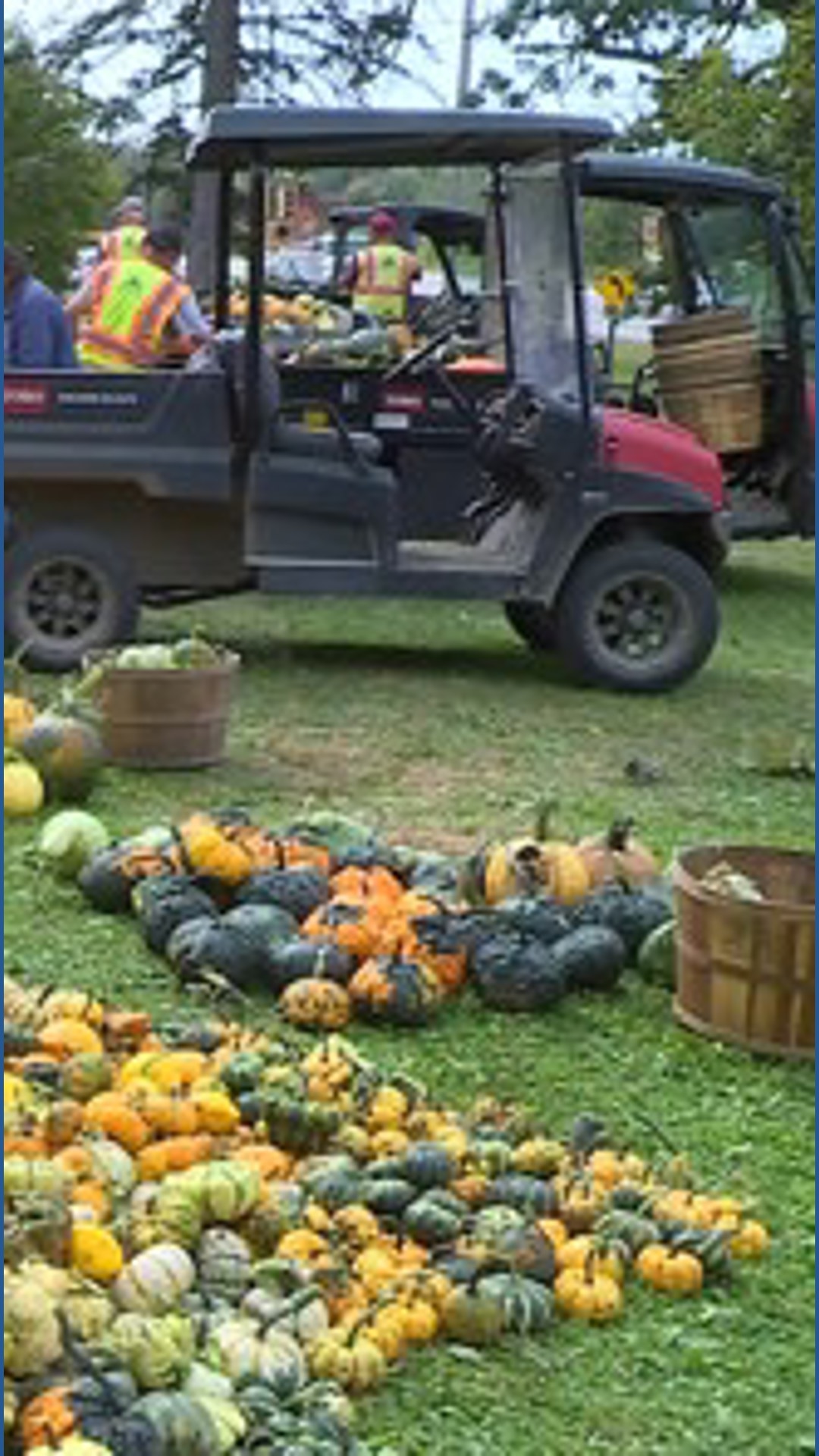 Pumpkin 101: Best to cook, carve & display