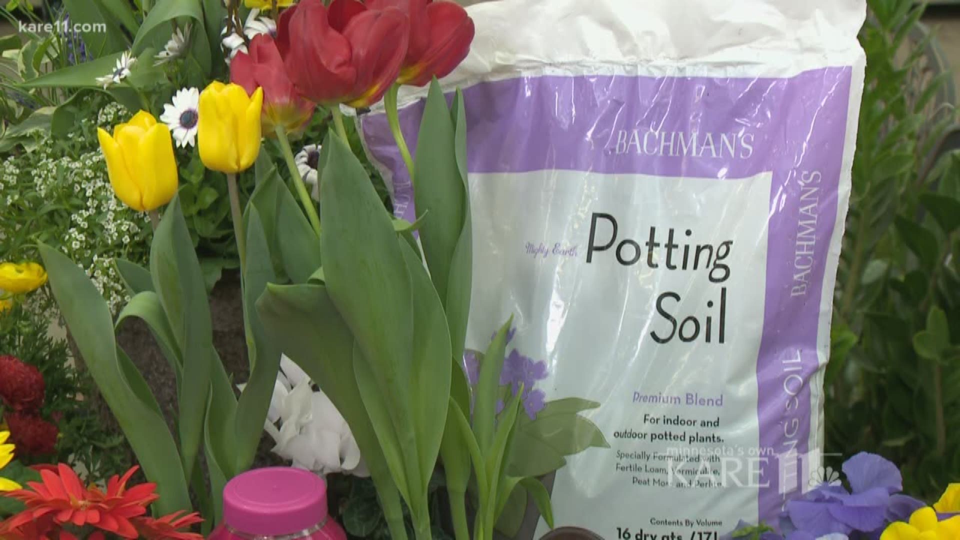 Because the soil is still wet and cold, try planting in a container until it's dry. Bachman's has some tips for the best ways to get started.