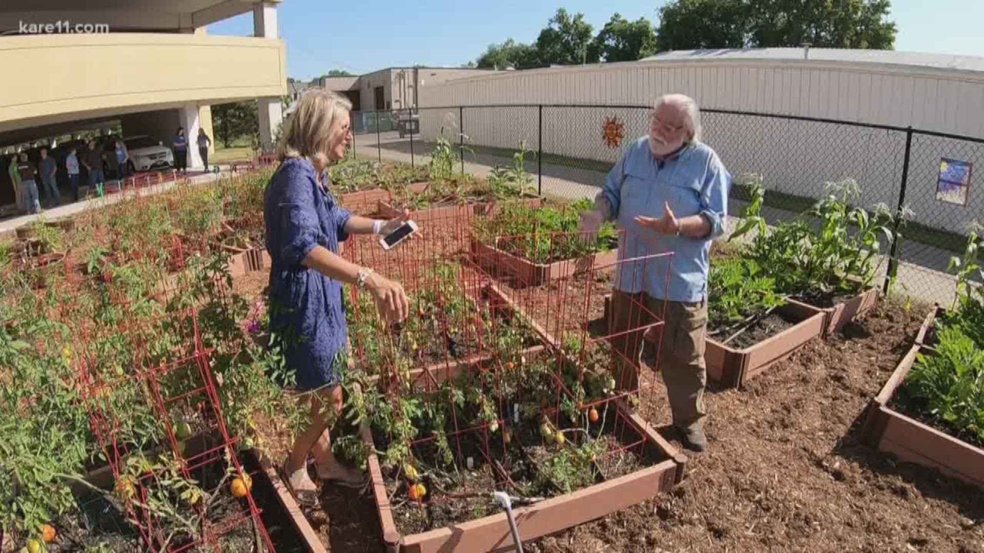 Many vegetable gardens are a bit behind and slow this season.