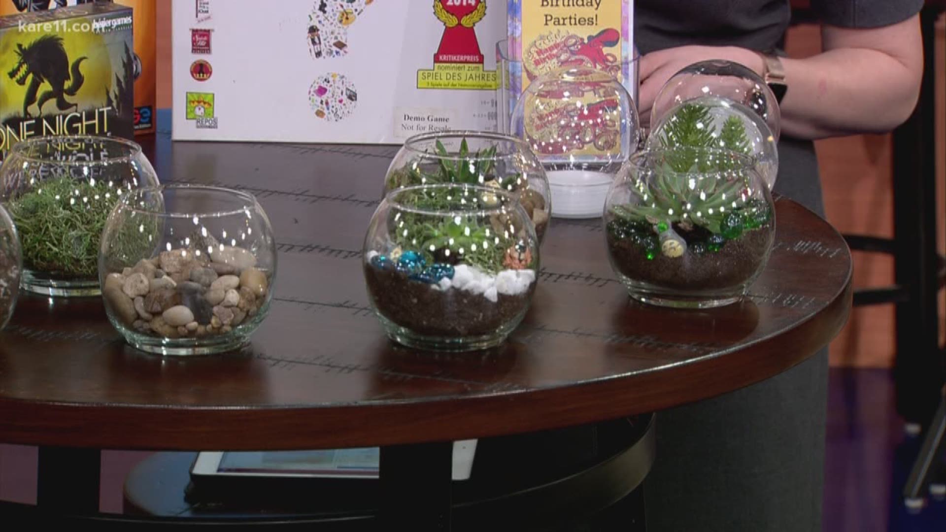 Terrariums are making a comeback and one of the age groups who are digging them are teenagers.