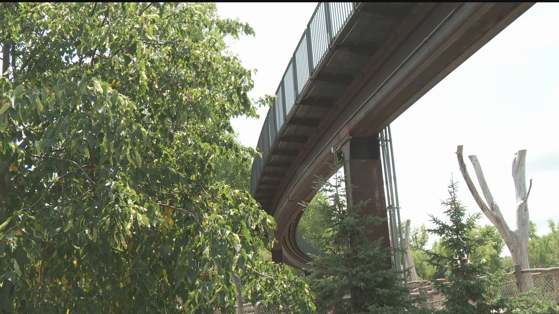 The highly-anticipated Treetop Trail, the "world's longest elevated pedestrian loop," gives visitors a brand new view of their favorite zoo residents.