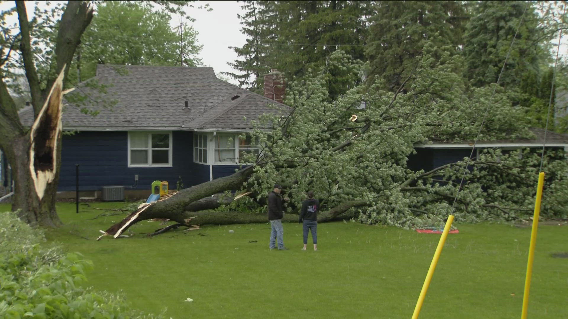 The tornado was reported in Fairmont. Strong winds also felled a large tree in Zumbrota.