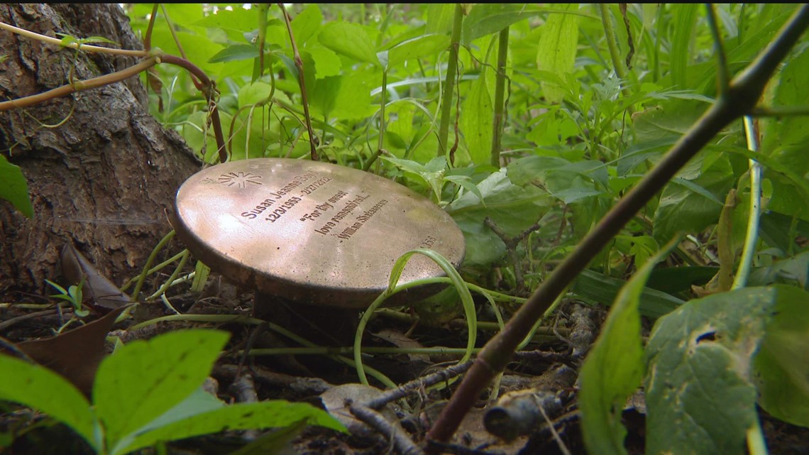 Conservation vs. cemetery: Minnesota's first memorial forest strikes a balance - Vimarsana News