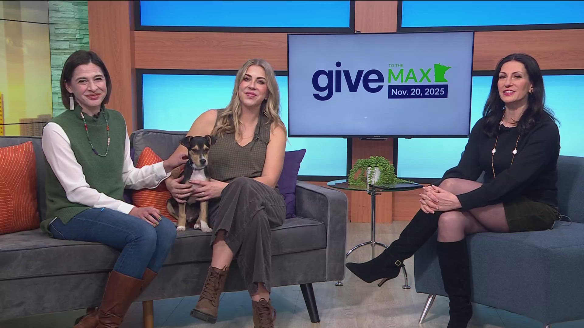 The Bond Between, formerly Secondhand Hounds, is getting ready for Give to the Max Day.