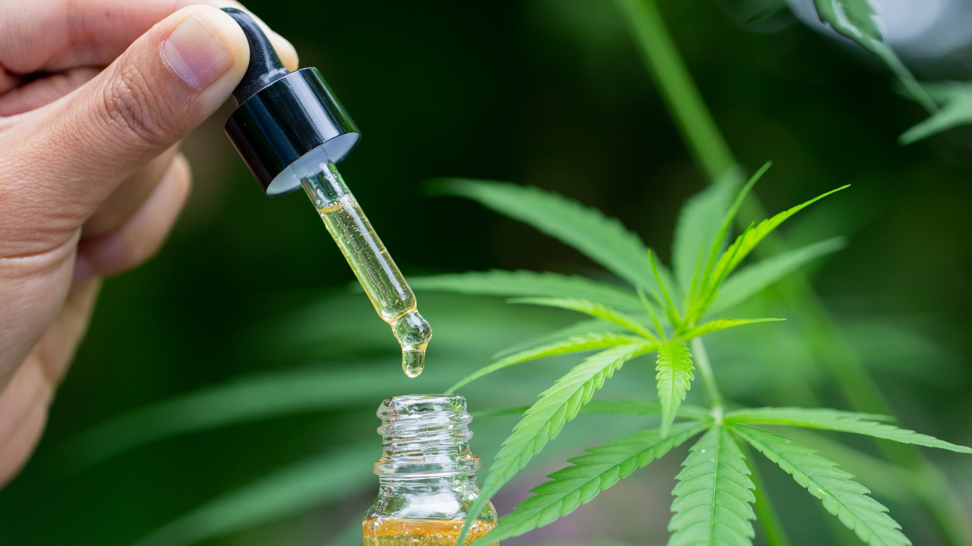 Too few published clinical studies exist on the safety and effectiveness of cannabidiol oils at this time. https://kare11.tv/340UO5k