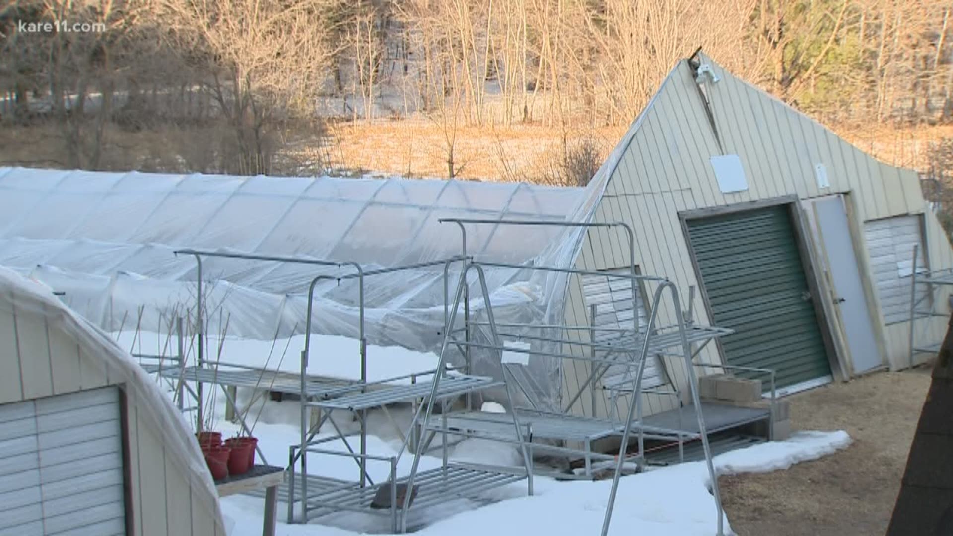 A crushing mix of rain and snow brought down two greenhouses and the dreams of a 19-year-old horticulturist.