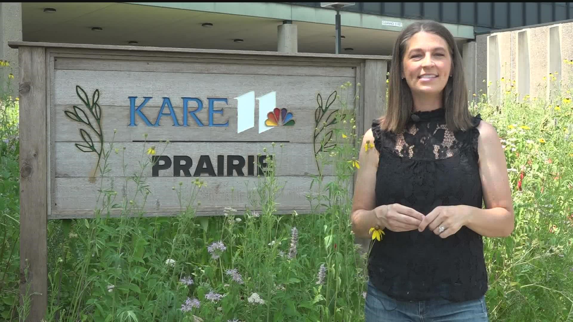 Meteorologist Laura Betker outlines the blooms coming in right outside the KARE 11 station.