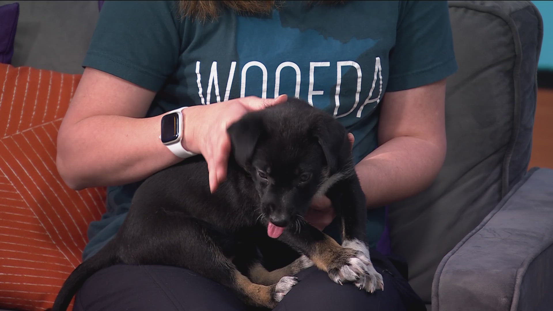 On Thursday, Minnesotans are raising thousands of dollars for charities. 