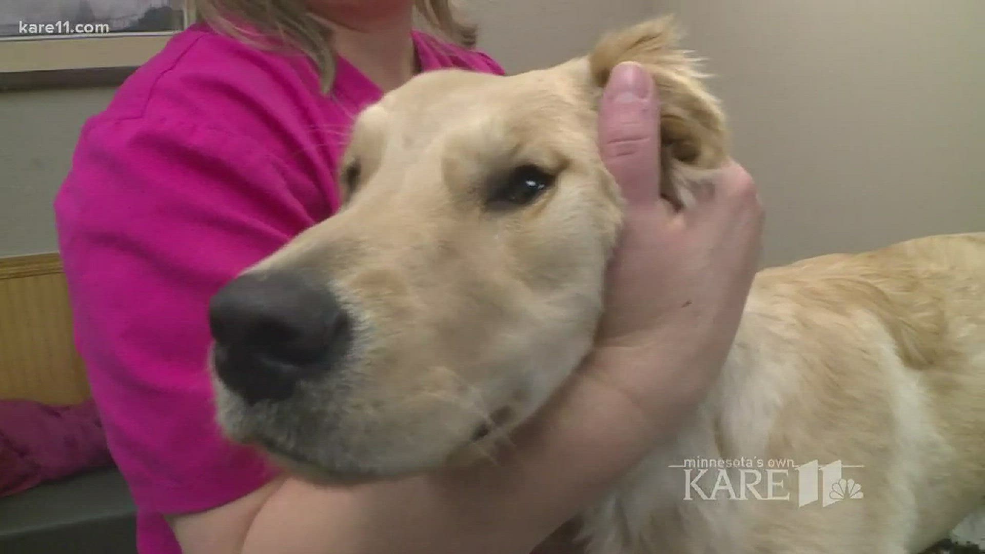 The events of your dog's first year shape their behavior for the rest of their life. You, your dog AND your vet will benefit from developing a positive attitude about veterinary visits. http://kare11.tv/2DqZJmh