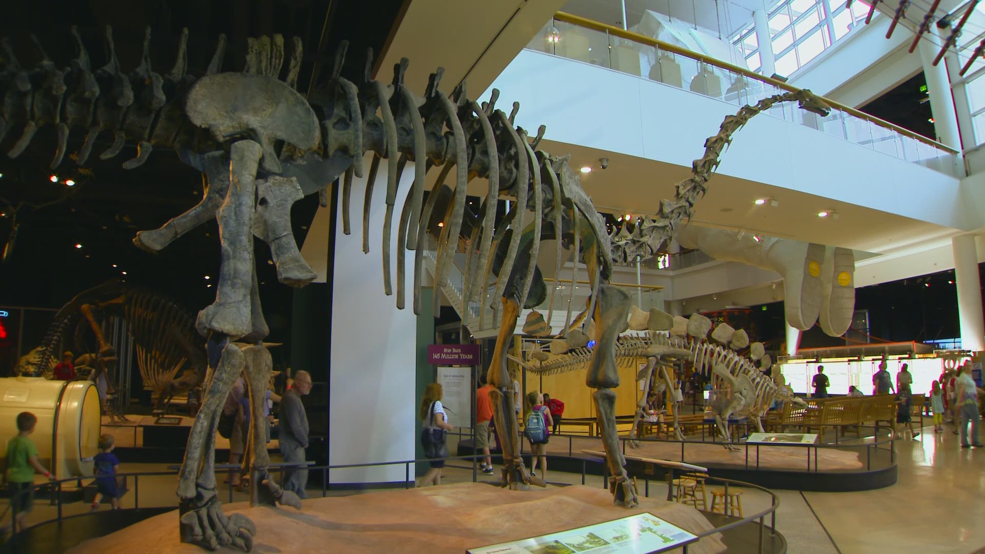 If you've counted yourself at any point among the children fascinated by the dinosaurs at the Science Museum of Minnesota this would be a good time to acknowledge some prehistoric passion.  http://kare11.tv/2vziaxJ