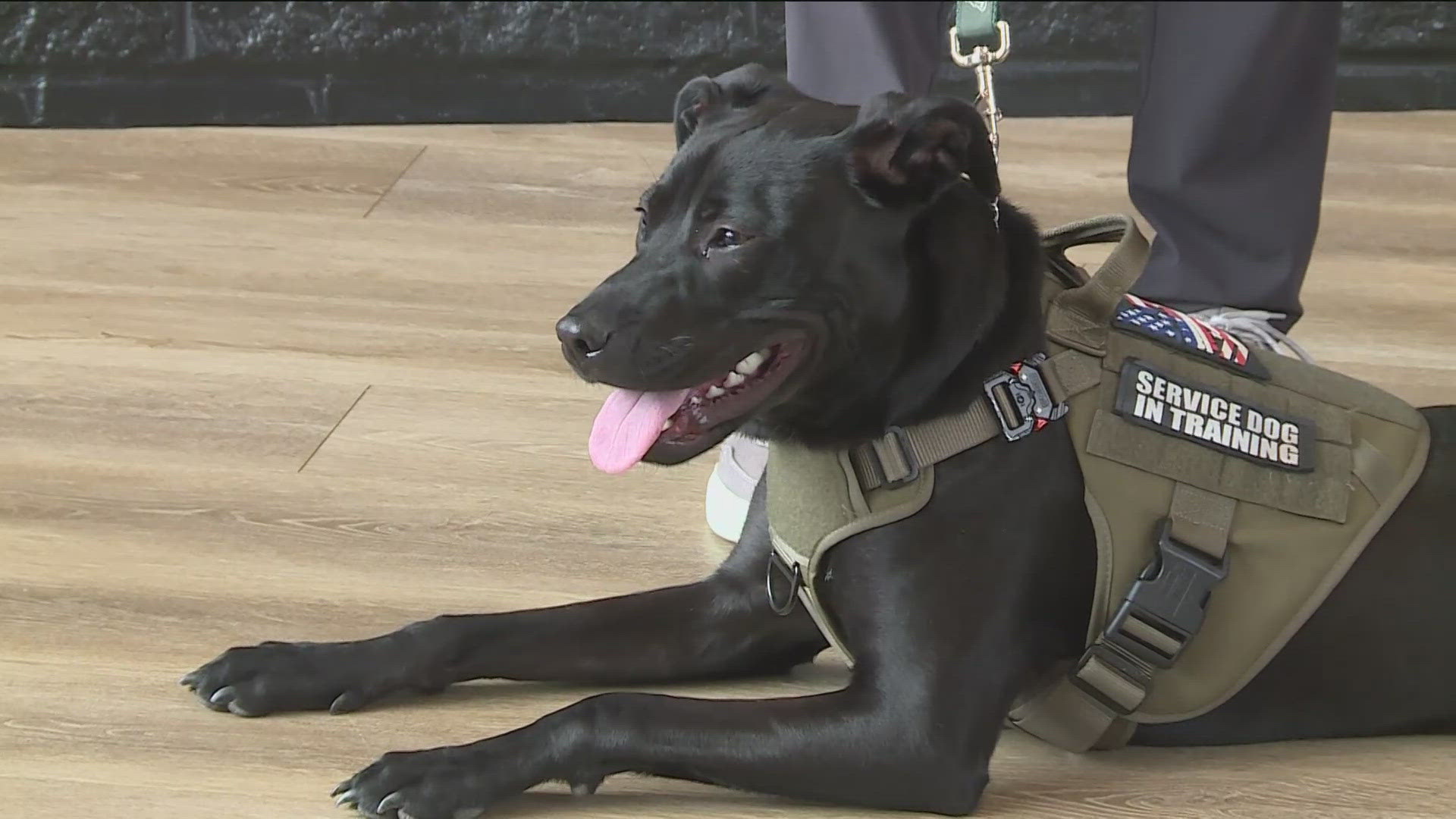 The Minnesota Wild's team dog now has a new home.