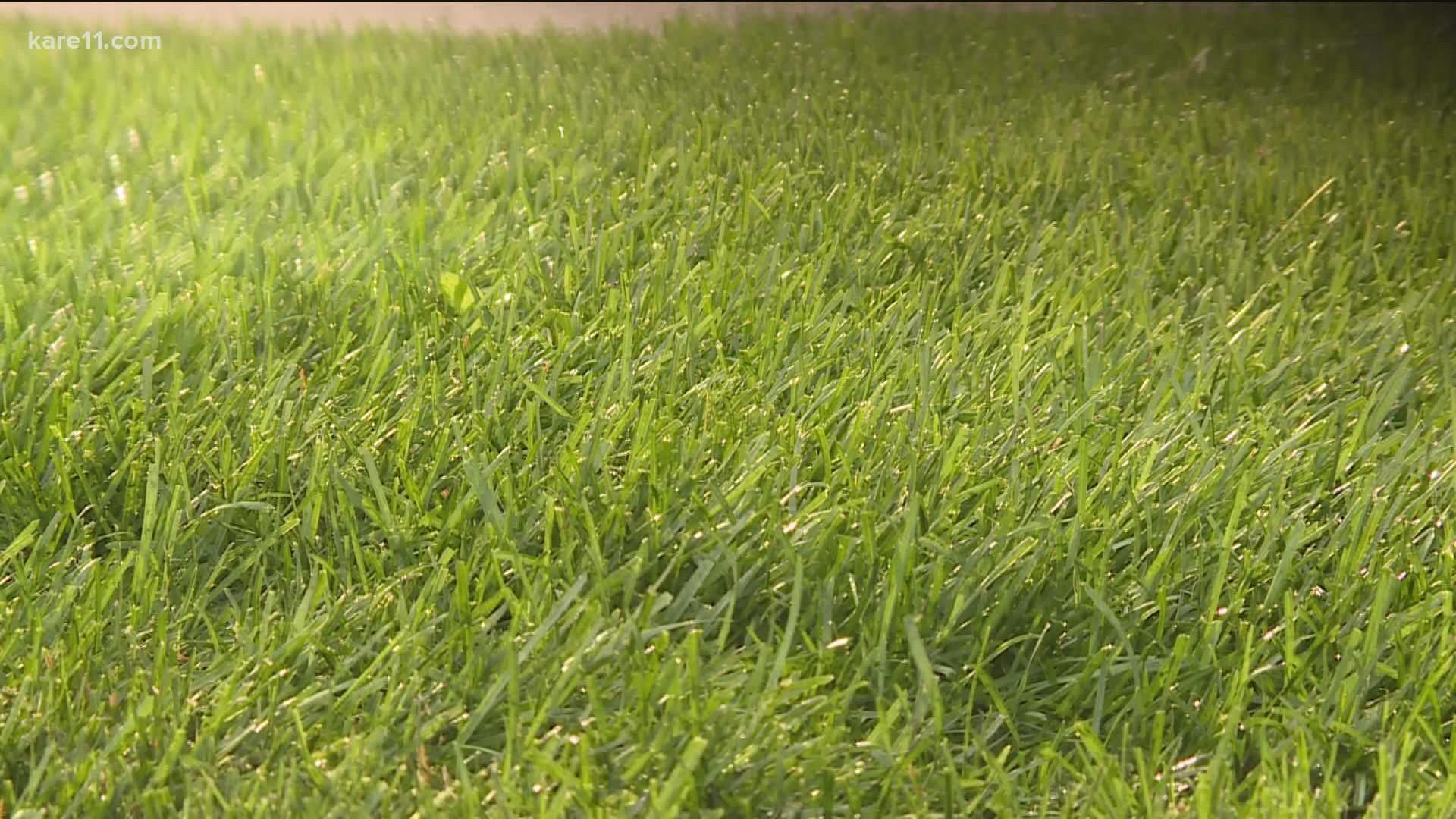 While recent rains have helped some, there are a few things you can and should still do for a lush lawn next year.