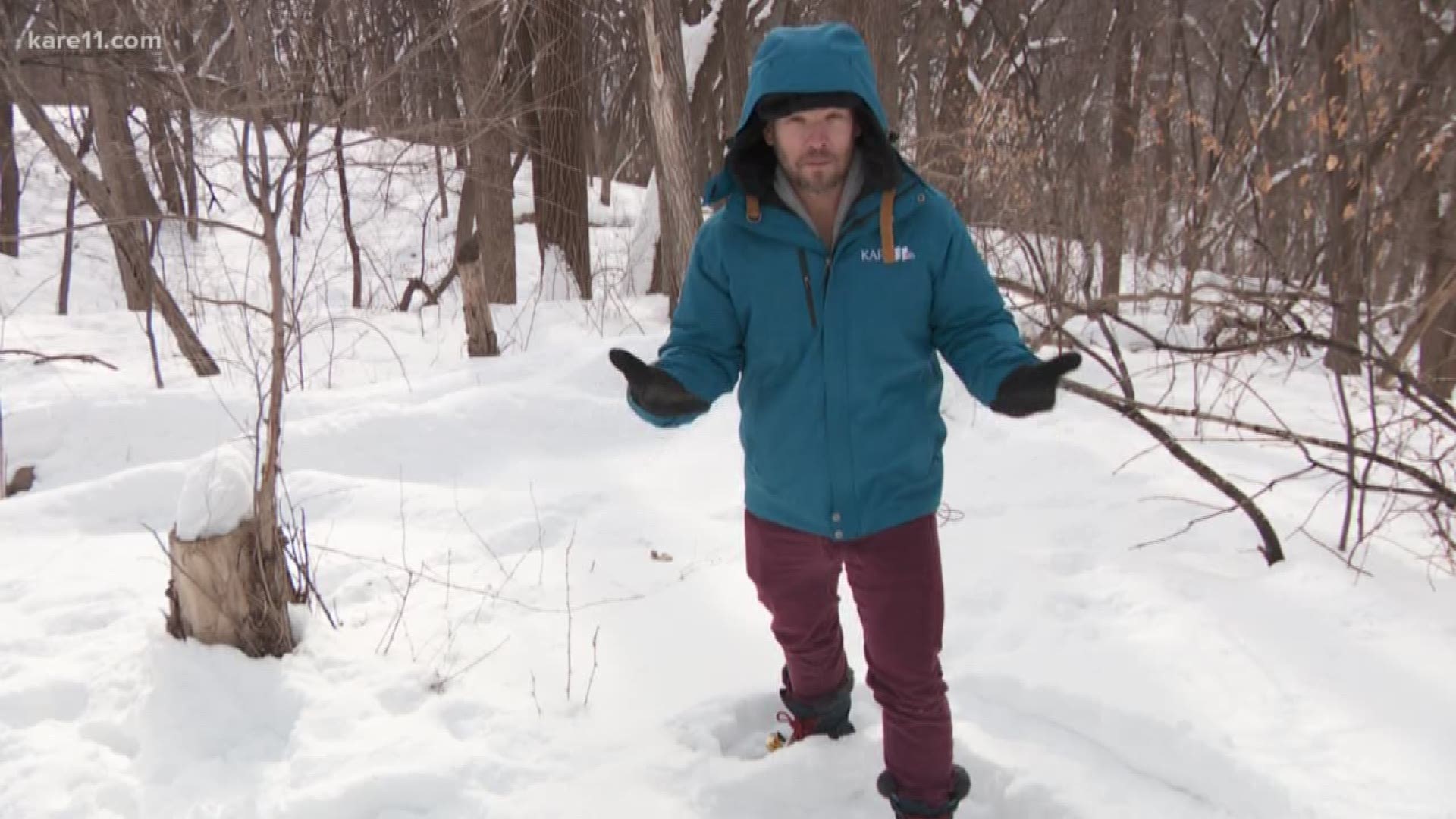 Sven Sundgaard went snowshoeing at the National Wildlife Refuge in Bloomington. https://kare11.tv/2C9CYRo